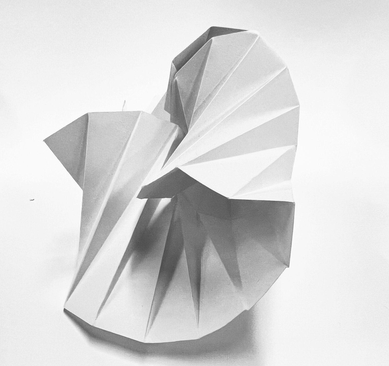Model image 1