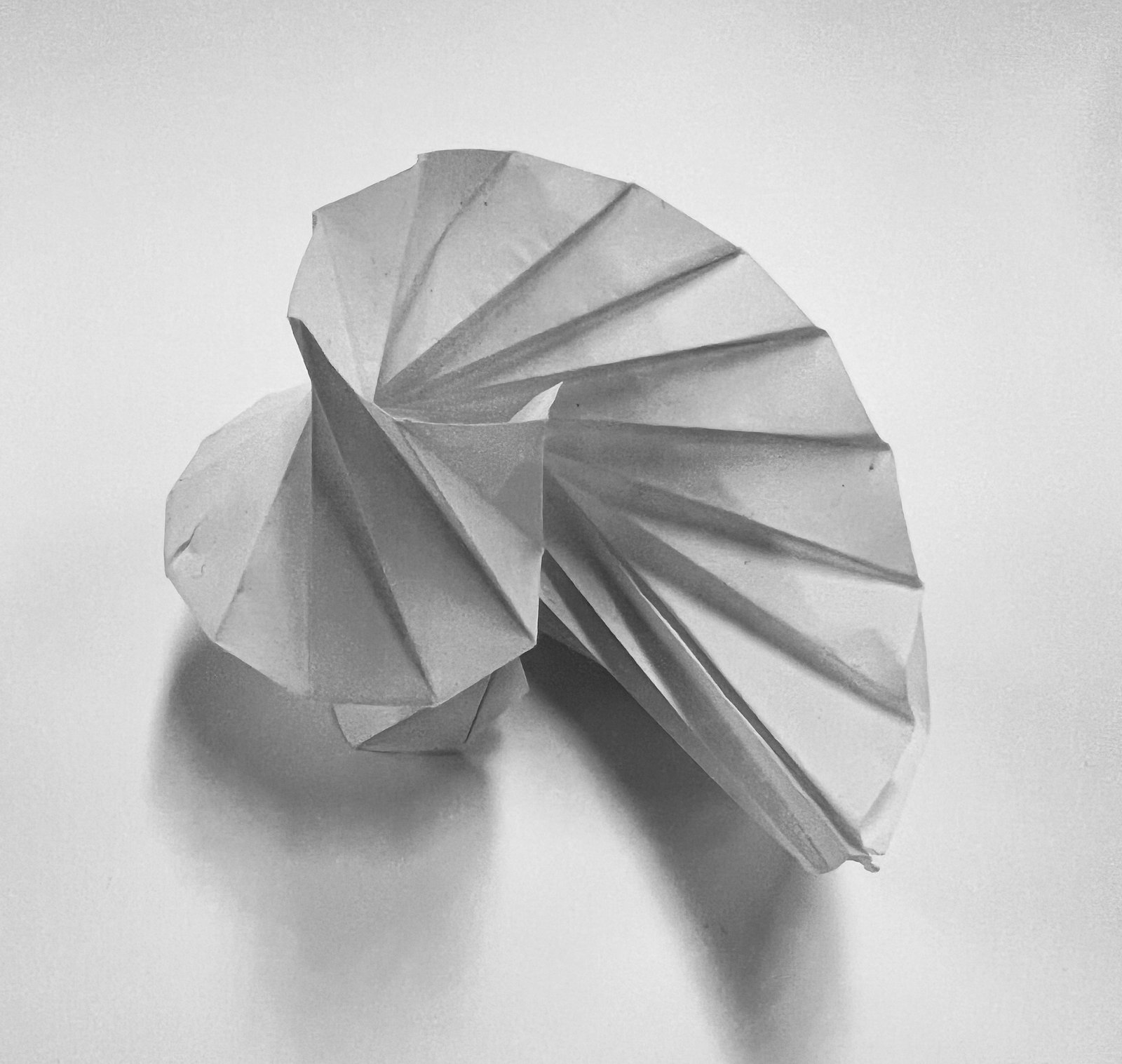 Model image 2