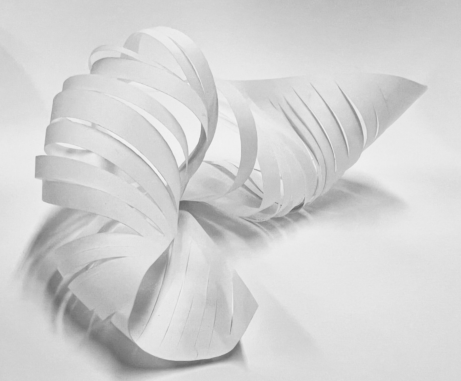 Model image 3