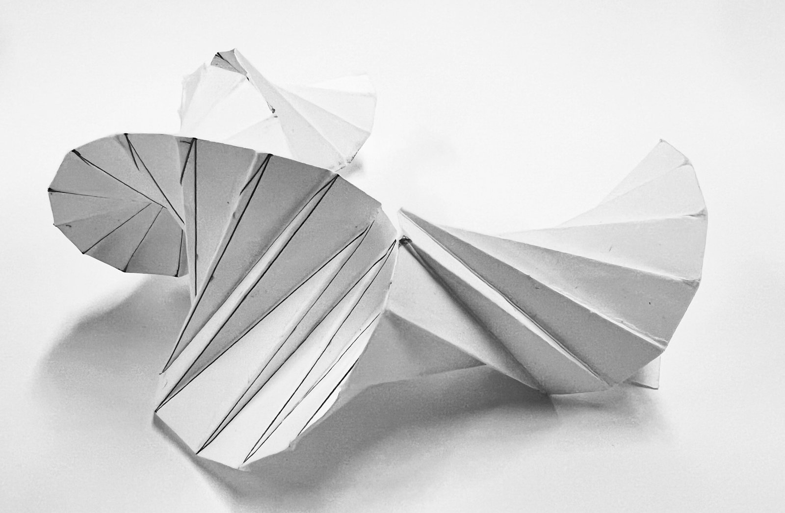 Model image 4
