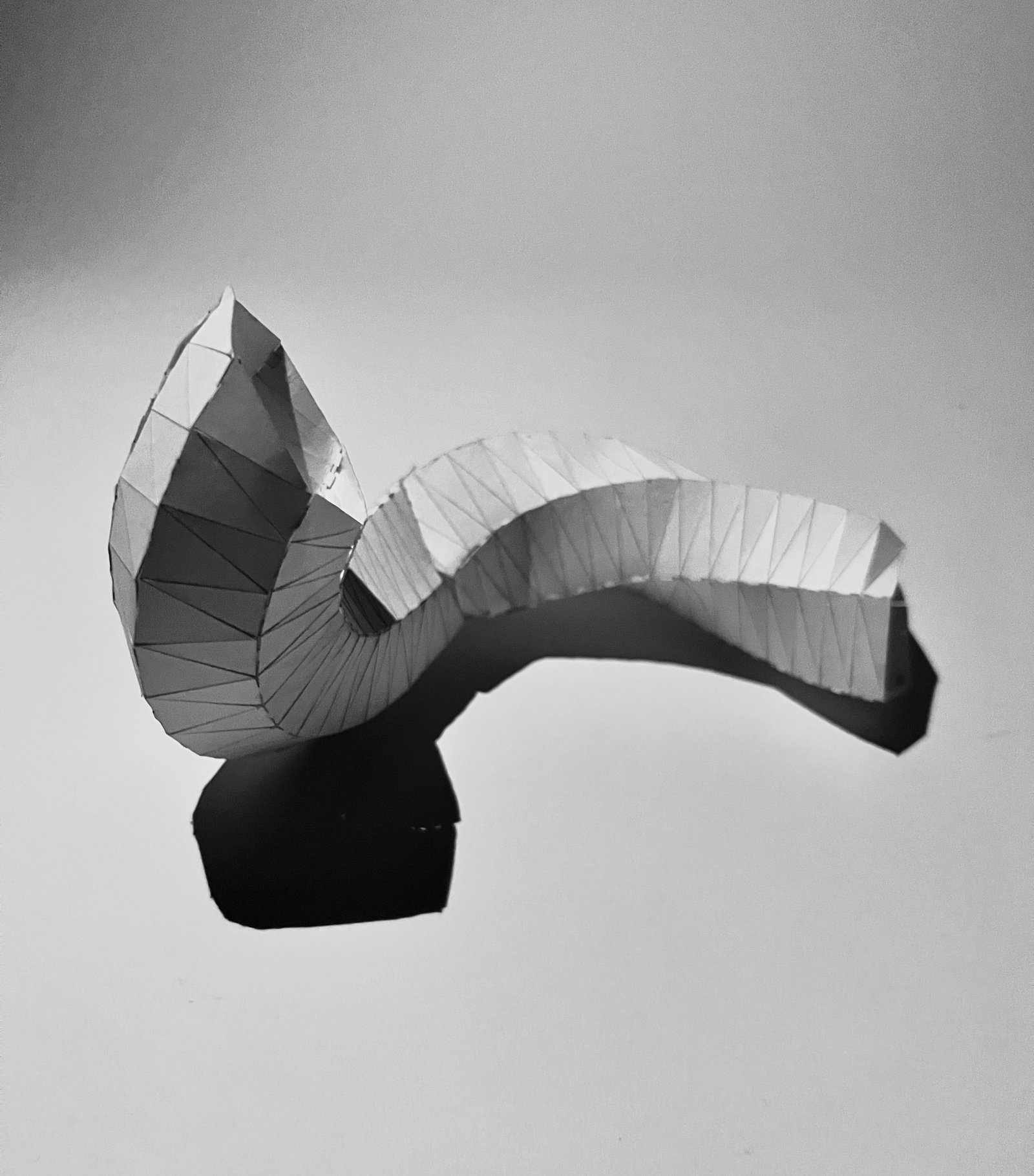 Model image 8