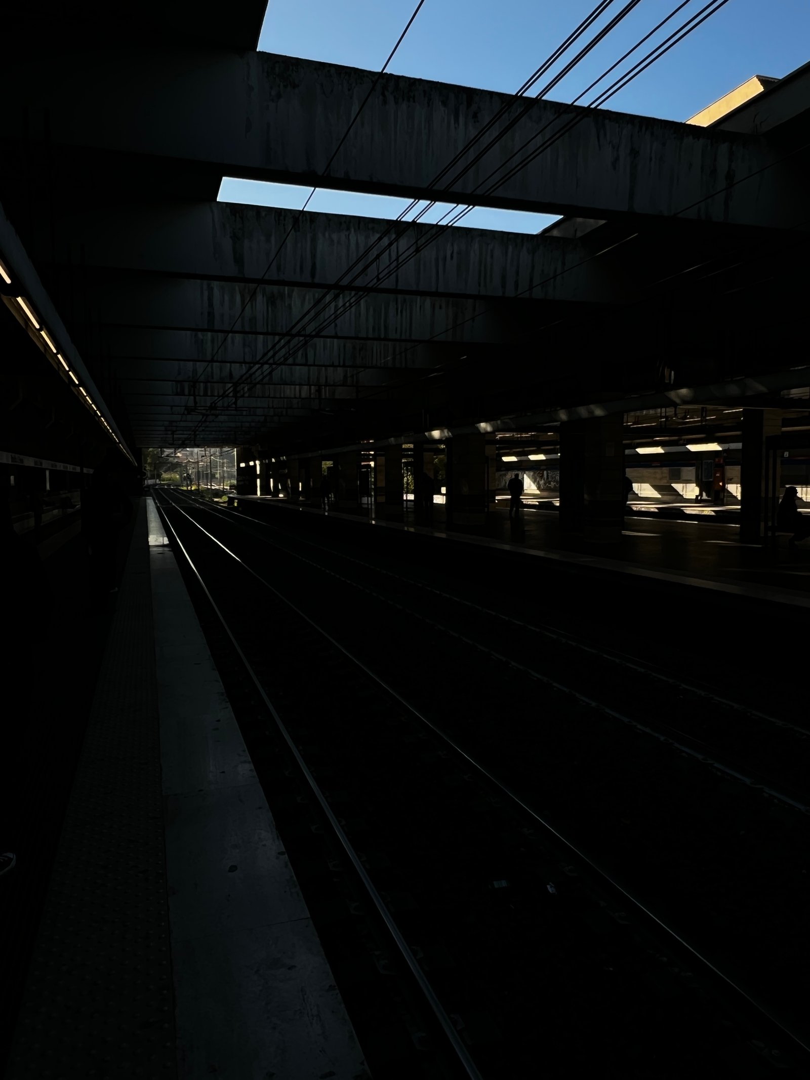 Photography image 5