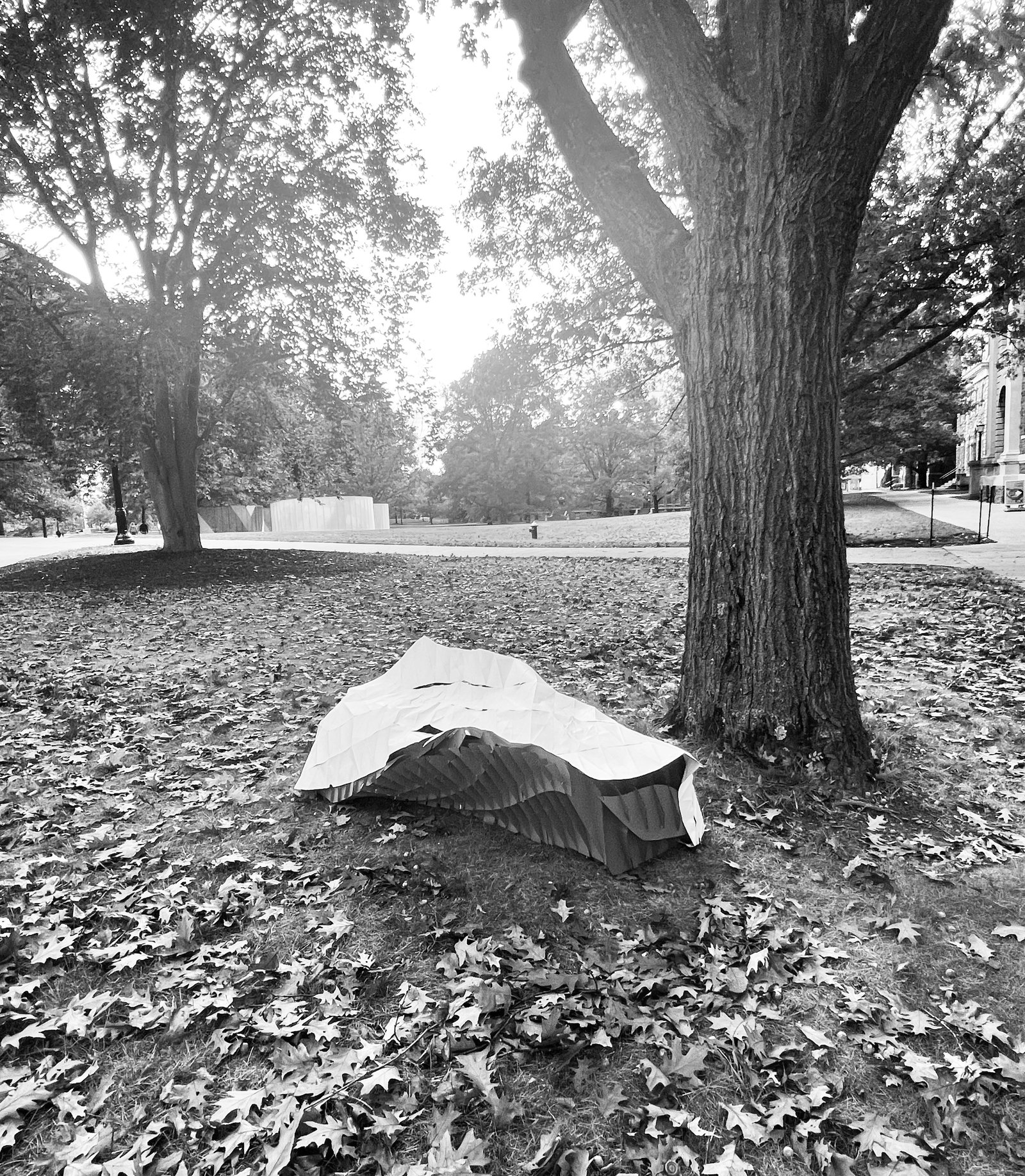 TwistChair image 5