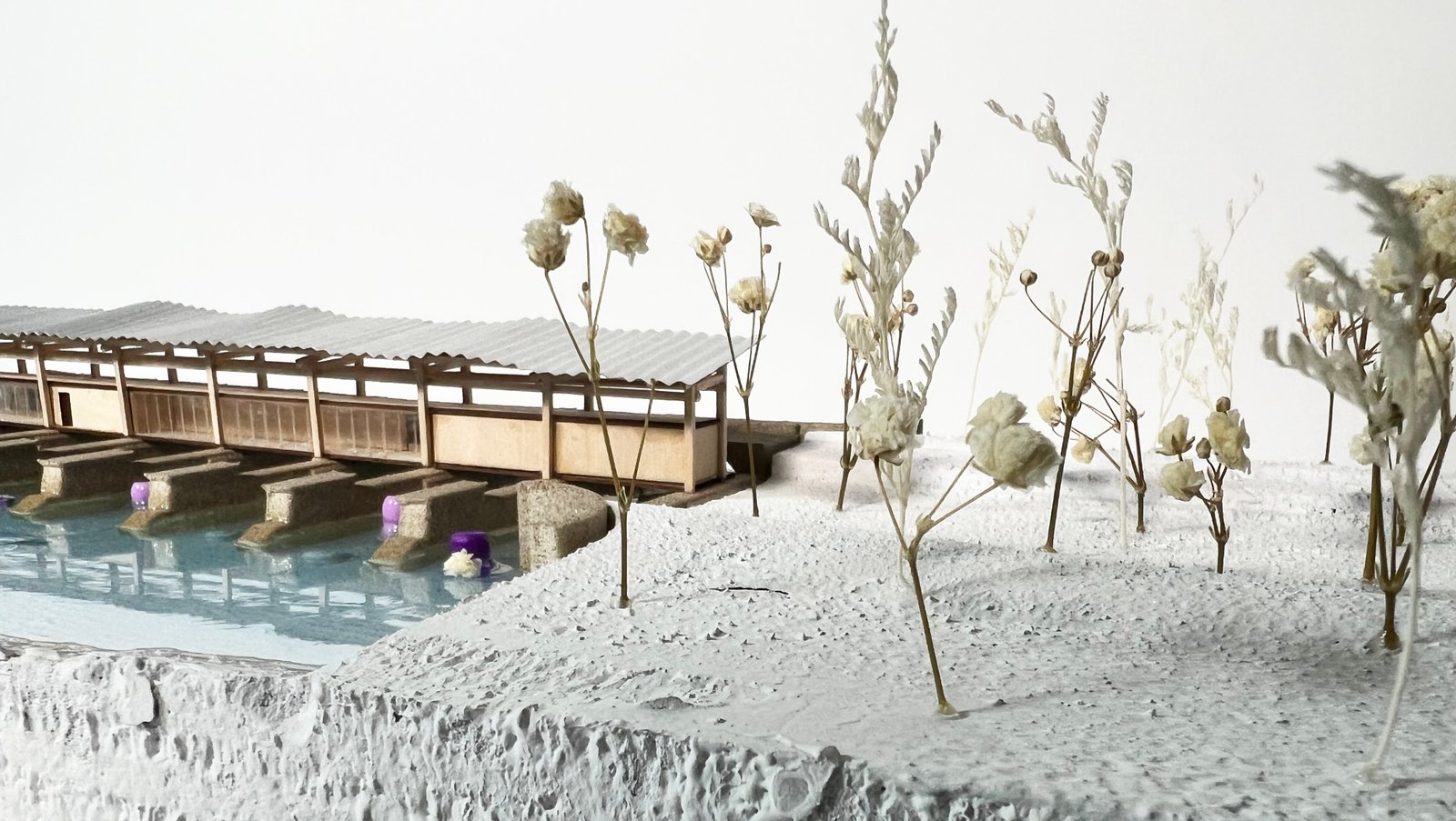 Echoes in the Water image 19