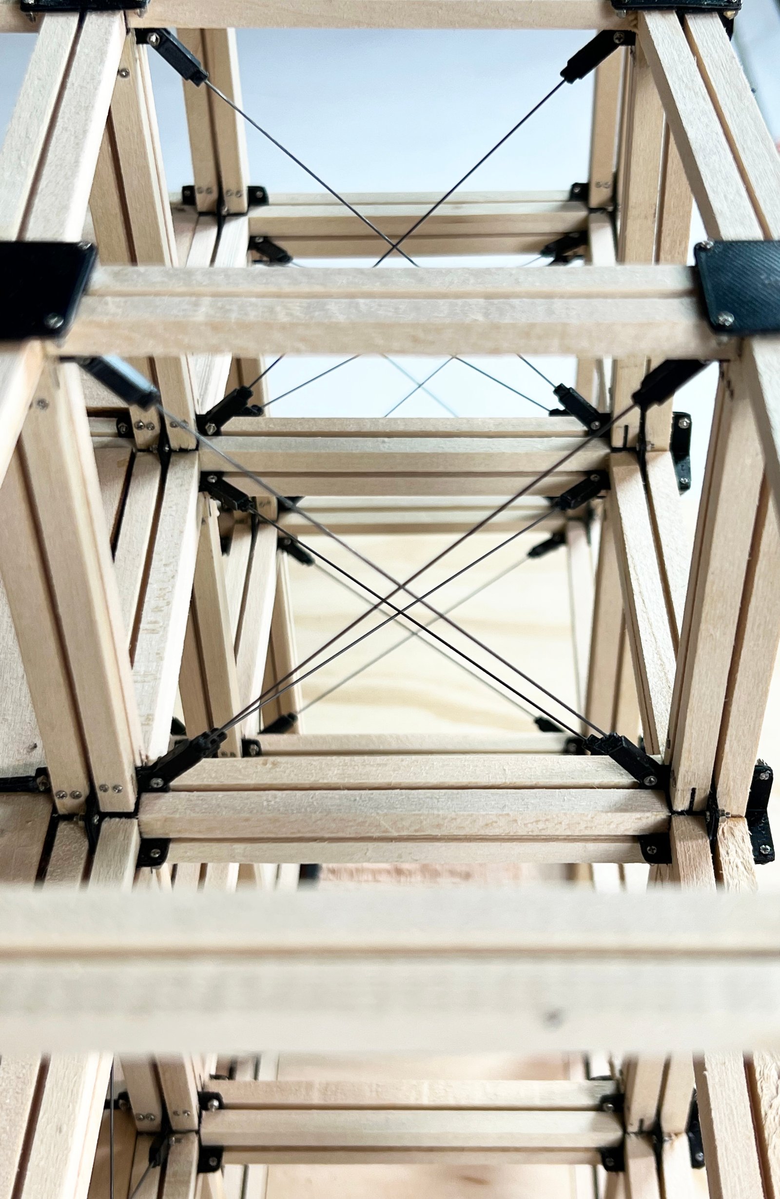 The Natural Pavilion Model hero image
